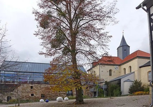Konventgebäude und Klosterkirche