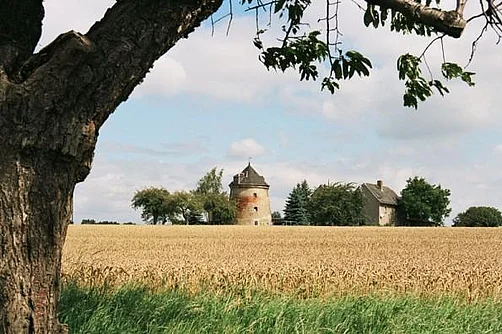 Windmühle Wildenbörten Windmühle Wildenbörten