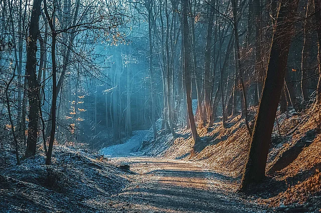 Steigerwald Erfurt