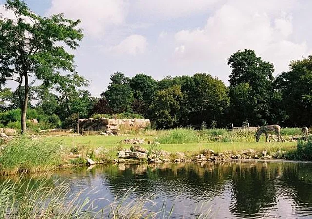 Rosental, Zooschaufenster, Blick nach Osten