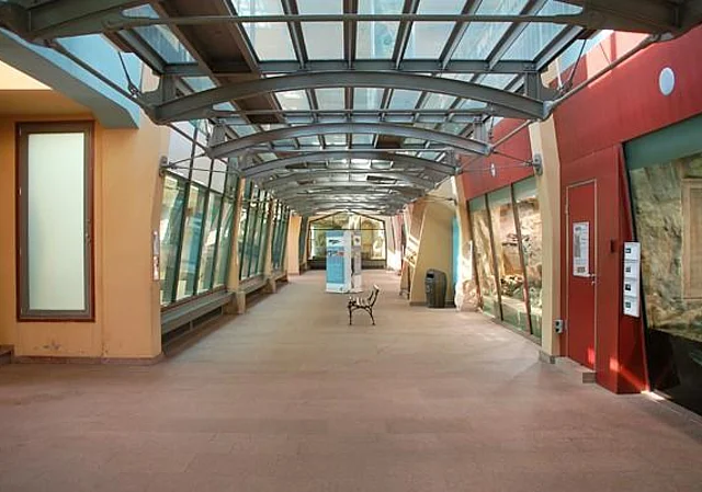 Großkatzenhaus, innen