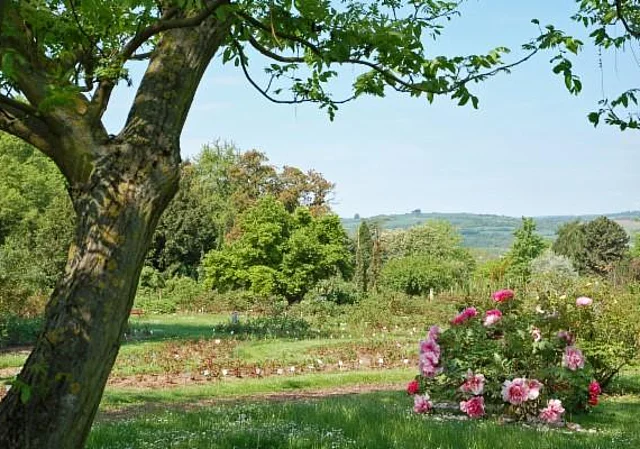 Blick zur Großen Wiese