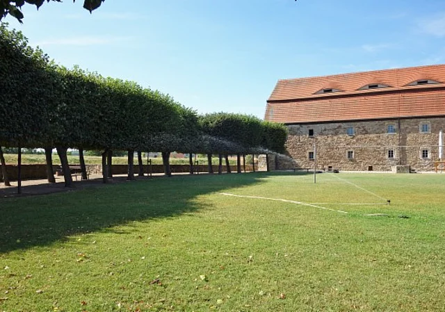 Wiese mit Allee und Wirtschaftsgebäude