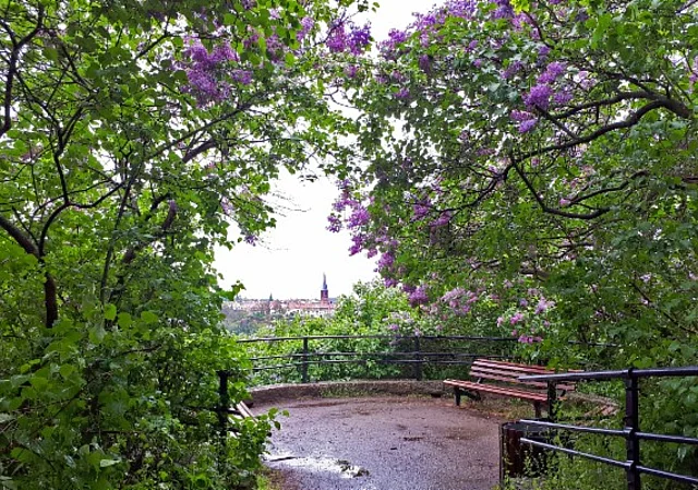 Blick auf Kröllwitz nach Westen