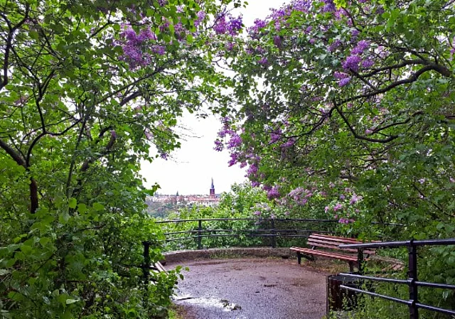 Blick auf Kröllwitz nach Westen