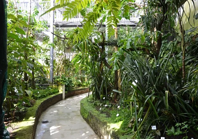Gewächshaus Tropen