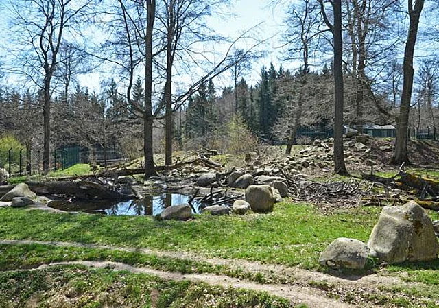 Bärenwald nach Süden