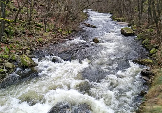 Bode an der Jungfernbrücke