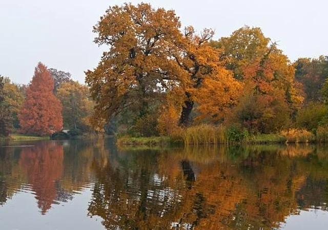 Park am Wörlitzer See