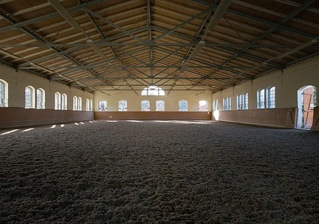 Reithalle mit Ausgang zur überdachten Longierhalle und freien Führanlage