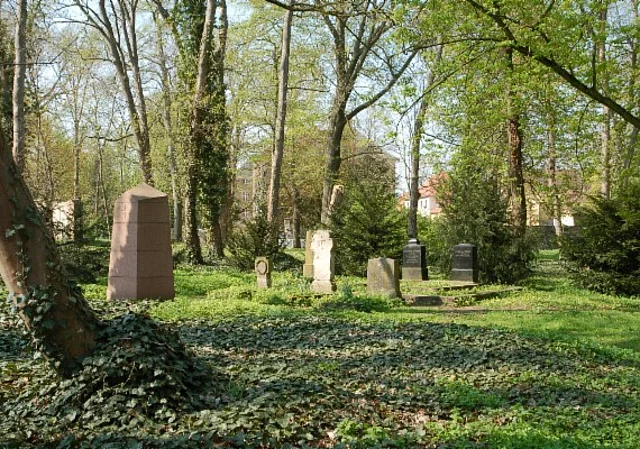 Schloss Ostrau, Schlosspark