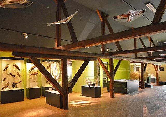 Ornithologische Ausstellung im Dachgeschoss