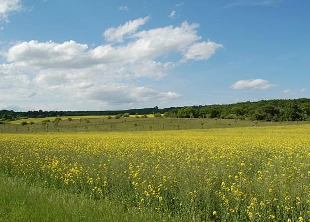 Totale Schlachtberg bei Bad Frankenhausen 