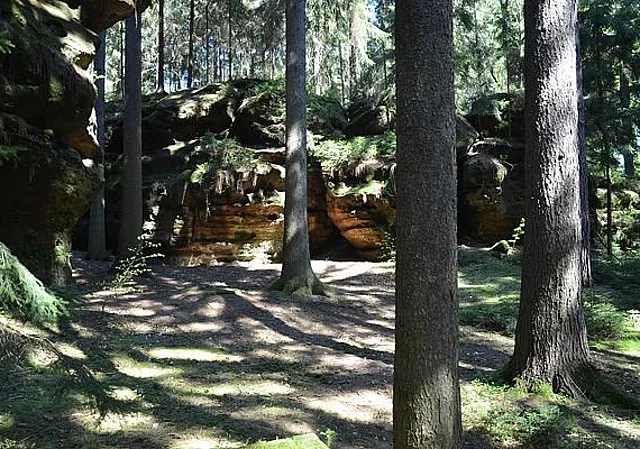 Richters Grund, Felsareal