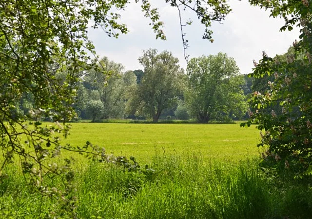 Barockgarten und Landschaftspark Hundisburg