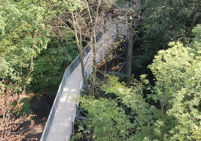 Baumkronenpfad von oben