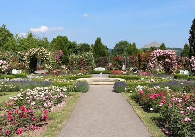Jubiläumsgarten