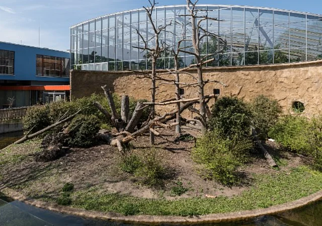 Afrikahaus, Außenanlage