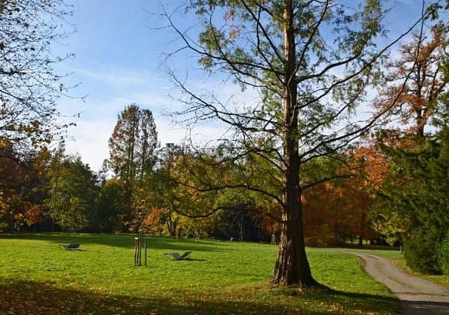 Schlosspark und Landschaftsgarten Ballenstedt