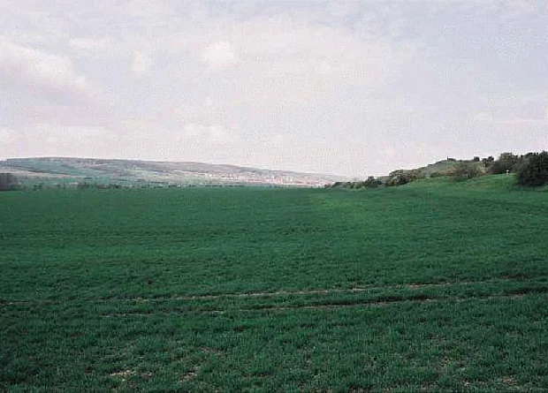 Bei Witterda Blick nach Westen 