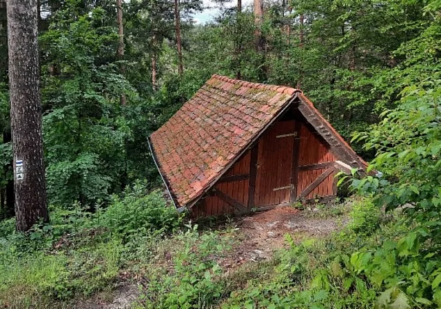 Wald beim Herzogstuhl