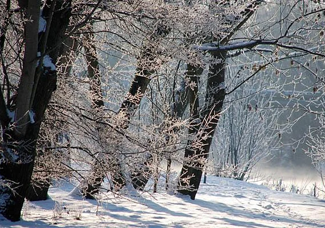 östliches Ufer an der Saalebrücke