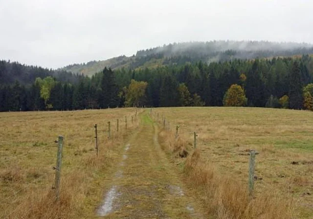 Rothesütter Alm