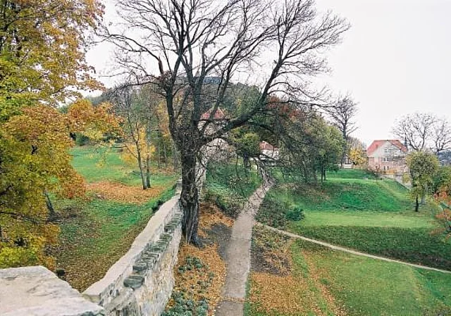 Berggarten mit Burgmauer, Blick nach Westen