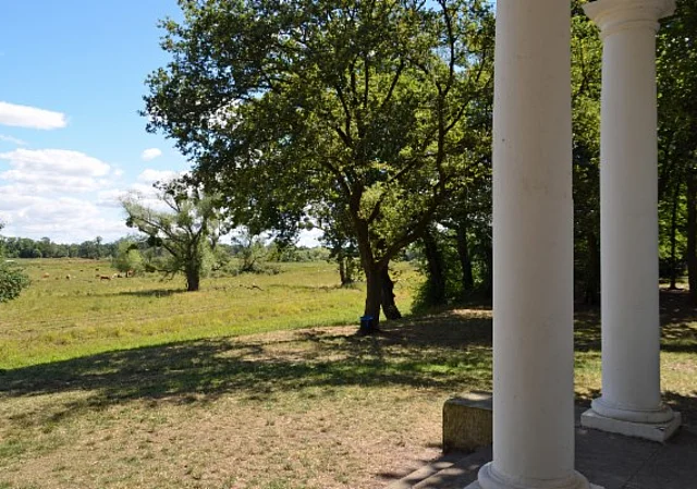 Sieglitzer Berg, Elbaue