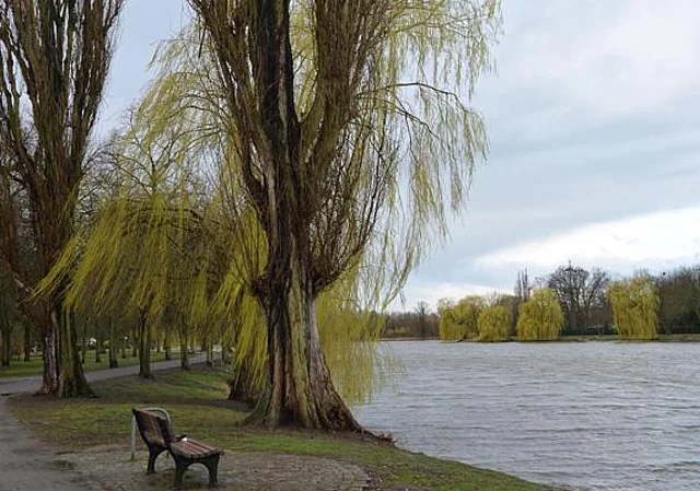 Stadtsee nach Nordwest