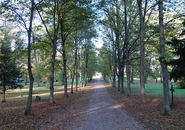 Lindenallee