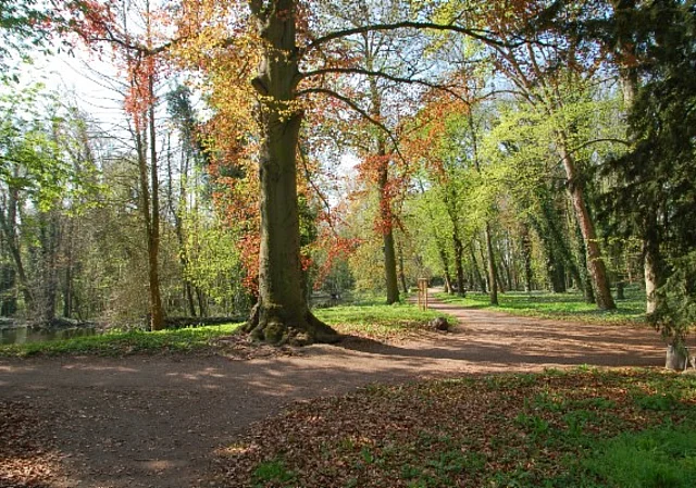 Schloss Ostrau, Schlosspark