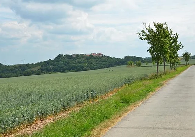 Blick auf die Konradsburg nach Osten
