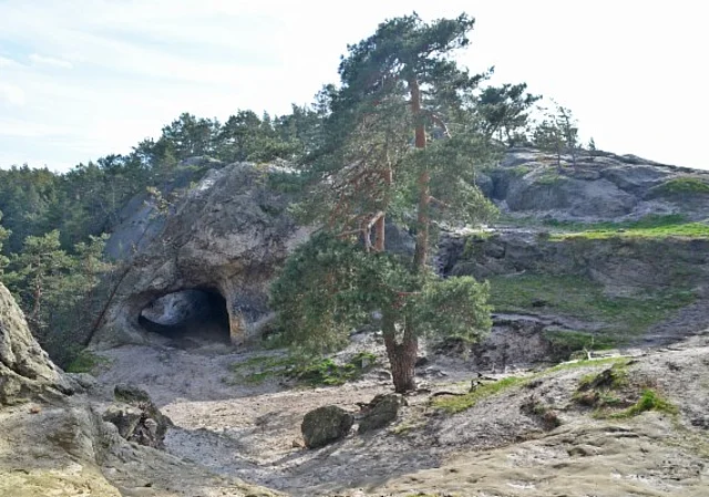 Teufelsmauer bei Blankenburg (Harz)
