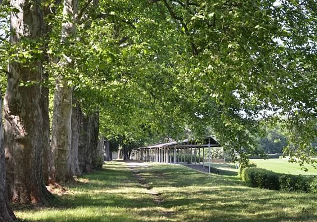Dammtribüne