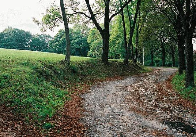 Park Blick nach Westen