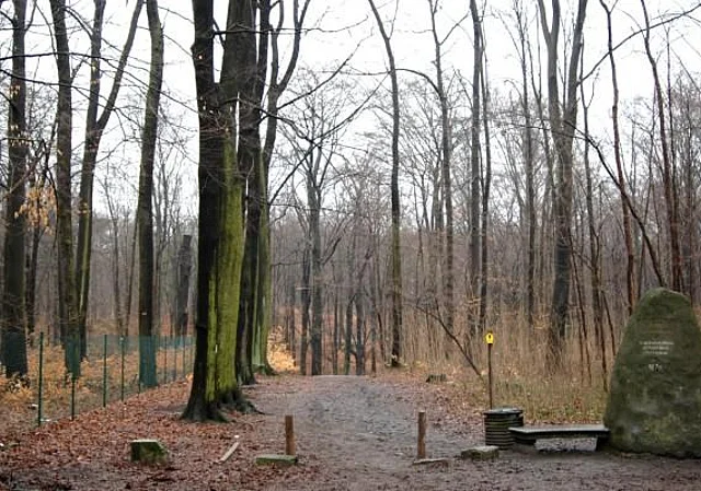 Zugang Dresdner Heide, Stechgrundstraße
