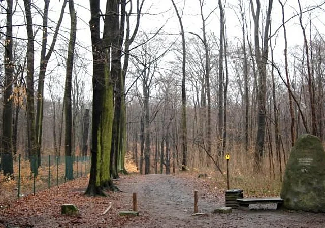 Zugang Dresdner Heide, Stechgrundstraße
