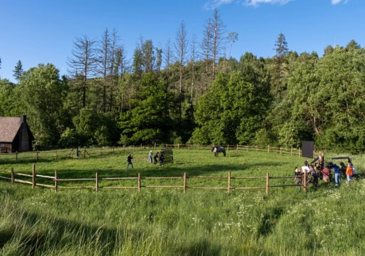 Am Set im Glasebachtal, Harzgerode