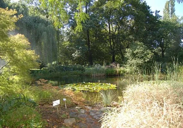 Arboretum