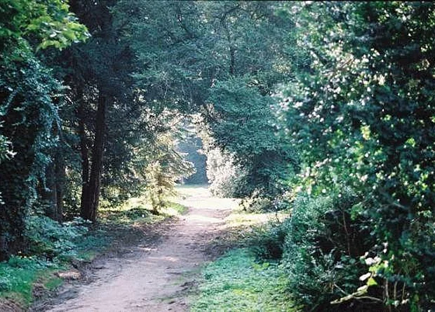 Schlosspark Krumke 