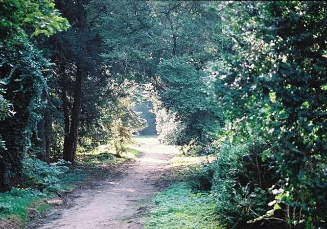 Schlosspark Krumke