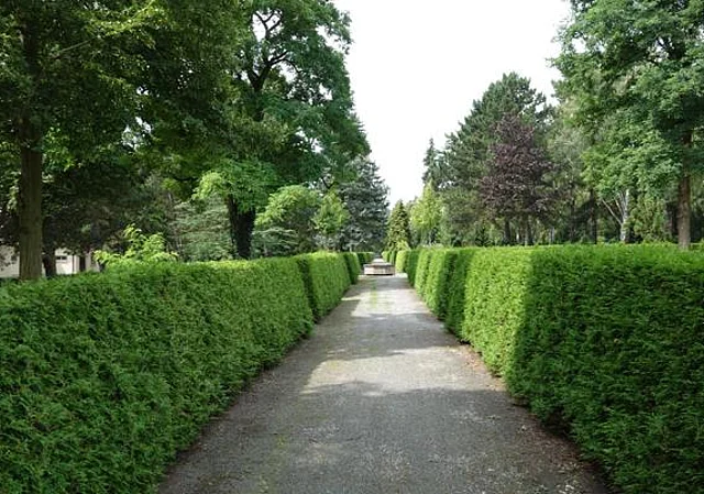 Allee mit Grabfeldern