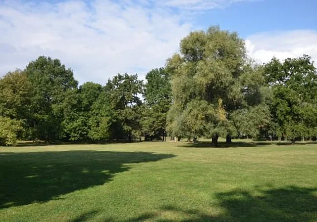 Johannapark, Wiese