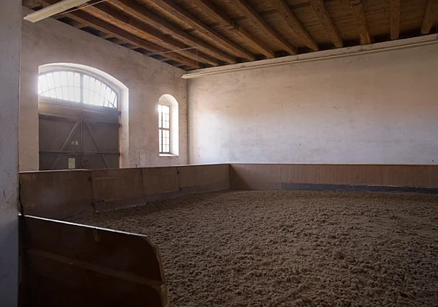 Longierplatz im Torhaus