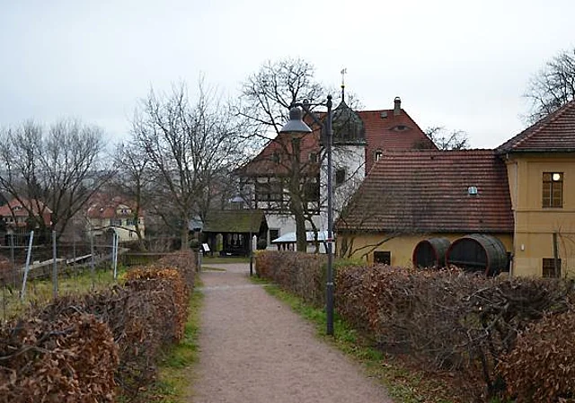 Knohllweg, Richtung Süden zum Weingut