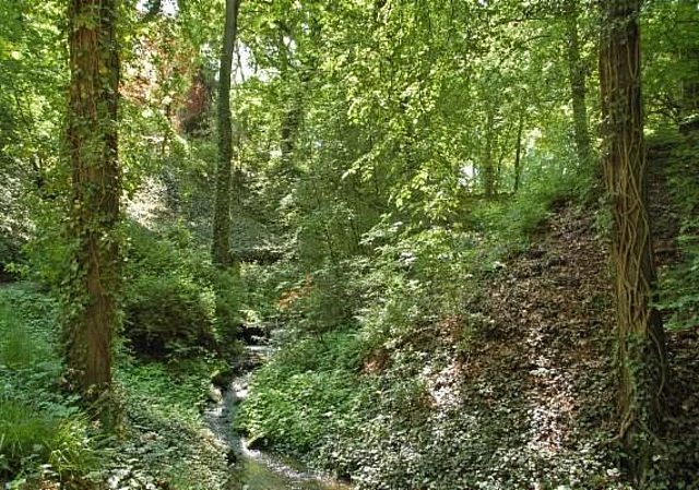 Wolfsschlucht