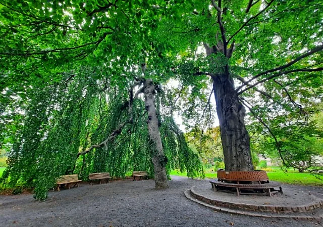 Rastplatz