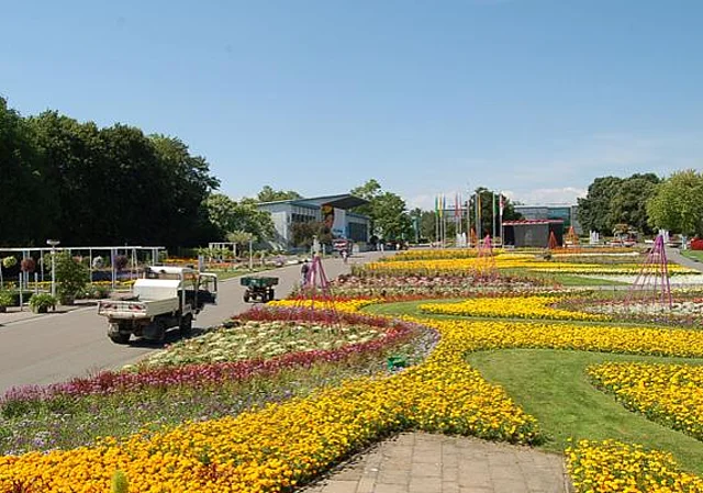 Großes Blumenbeet