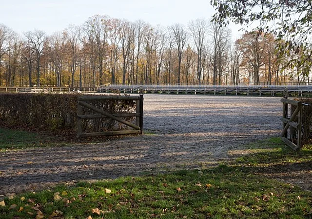 Paradieskoppel mit Zuschauertribüne für Vorführungen